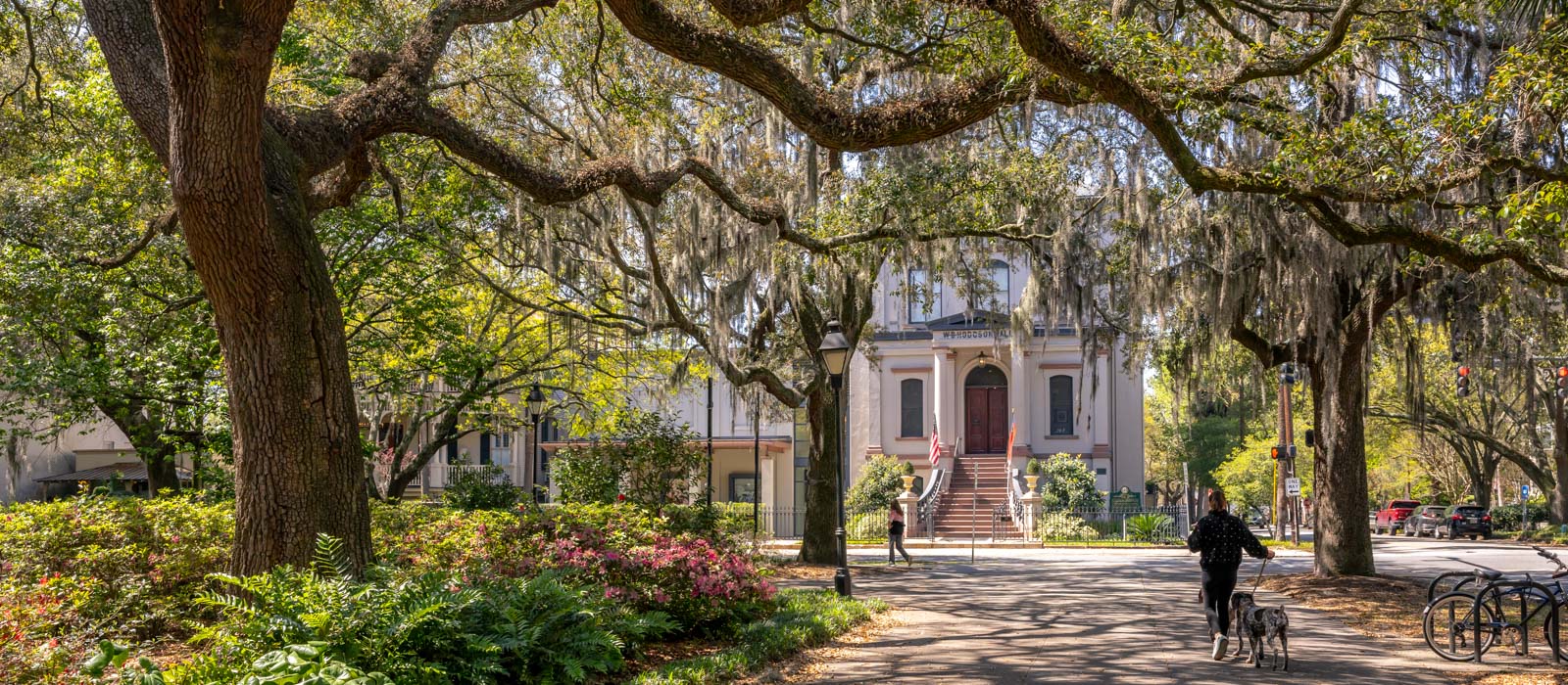 house on the hill ハウスオンザヒル　ロンパース　レギンス　馬 Add a Savannah Tour | The Marshall House Hotel